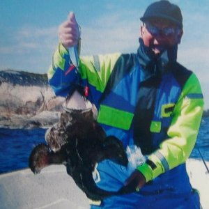 Hitra - ein Seeteufel