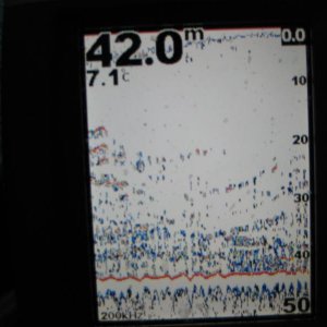 IMG 0242