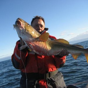 IMG 0035