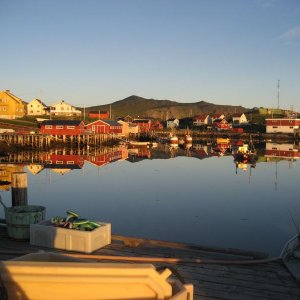IMG 0046