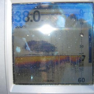 IMG 0119
