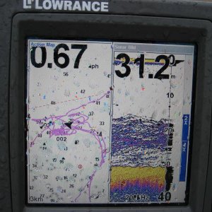 IMG 0158