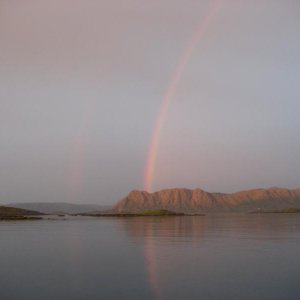 IMG 0175