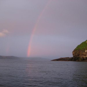 IMG 0179