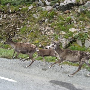 IMG 0140