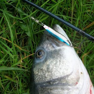 Thomas und sein Fast-Rekordfisch..