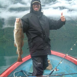 NORWEGEN ANGELN 05 059