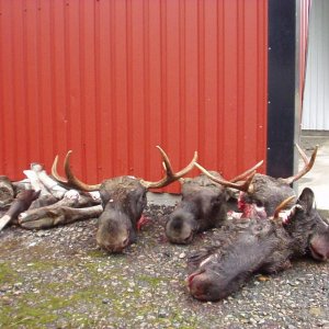 schweden mit marcel okt.02 057