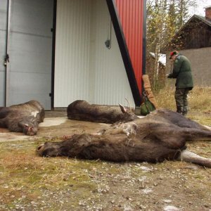 schweden mit marcel okt.02 066