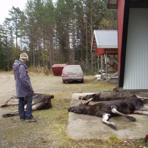 schweden mit marcel okt.02 065