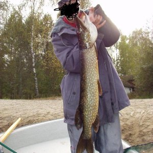 schweden mit marcel okt.02 012brush