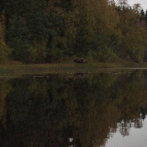 schweden mit marcel okt.02 026