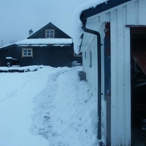 06.02.2009