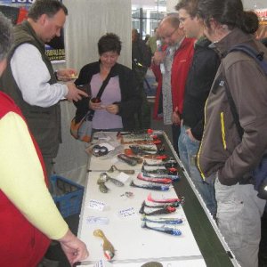 futterneid in Friedrichshafen1