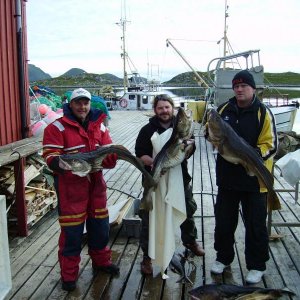 Nordkap 2007 Steffen 092