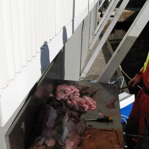 come2norway , Ferien in Flekkefjord / Norwegen 2009