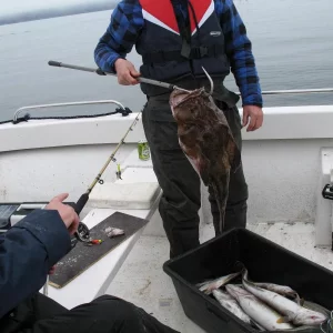 come2norway April 2009, Grönnes Marina