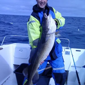 40 Pfund 2008 Torsvag