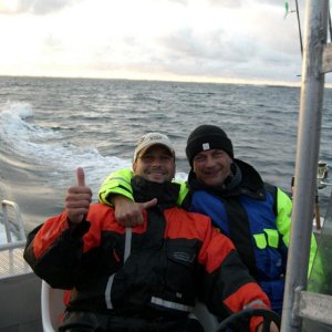 alles im grünen Bereich!