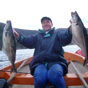 Stramme Köhler mit dicken Filets.