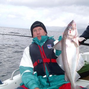 Schöner Schellfisch nahe der Insel Selja.