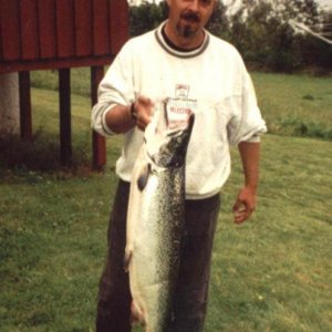 Rolf 10kg Lachs