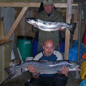 Lachs 6kg und 8kg 2006