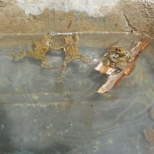 P1010182