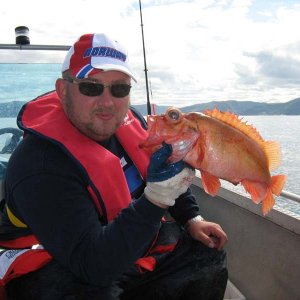 Rotbarsch is mal wat lecker!!!