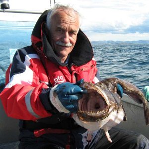 Willi mit 2,5kg Seeteufel Bessaker 09!

Der Schlund sieht aus wie n Popoloch, sry :-)