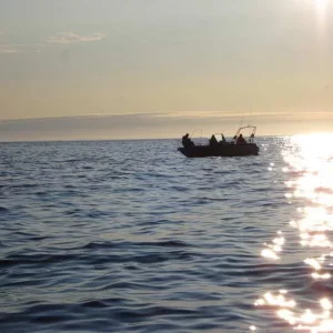 user3094 pic2783 1248362398