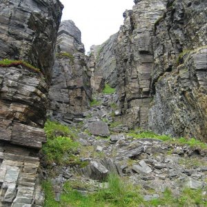 IMG 0284