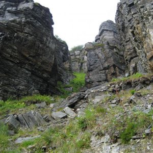 IMG 0286