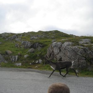 IMG 0279