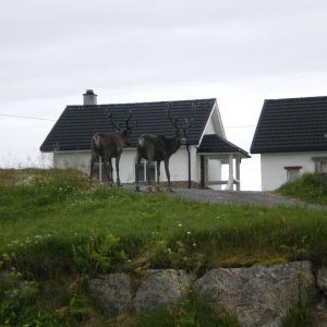 IMGP1035
