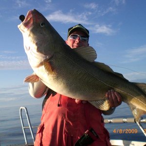 Köder, Royber Jig schwarz glitter 230g