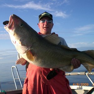 Dorsch, 20 kg, 120cm