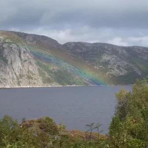 Ausblick auf den Fjord mit Regenbogen