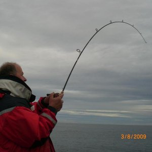 krumme JB-rute mit kleiner Abu Wurfmulti