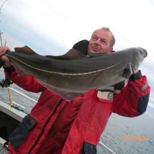 die "Kinderangel" hat diesen Seelachs bezwungen