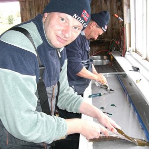 Didi und ich beim Filitieren