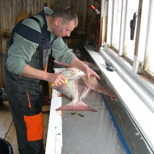 Nach dem Ole mir zeigte wie eine Platte zerlegt wird,hab ich mich selbst an die Arbeit gemacht