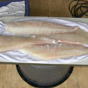 Vier wunderschöne Seiten