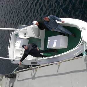 Ole ist mit uns zu den Lachsfarmen raus