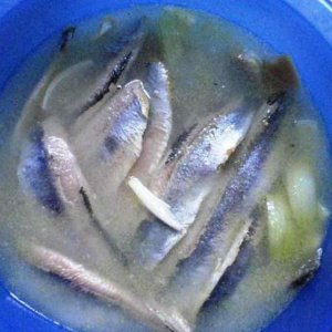 eingelegt in öl