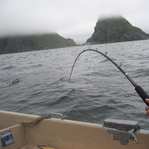 IMG 0058kl