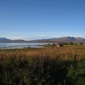 Kvalöya , die Natur pur