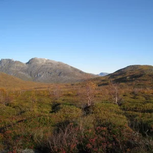 Kvalöya , die Natur pur