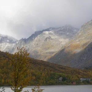 Kvalöya , die Natur pur