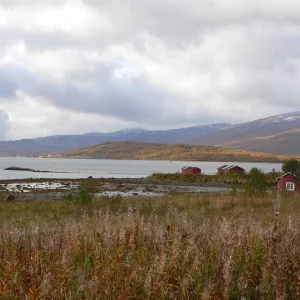 Kvalöya , die Natur pur